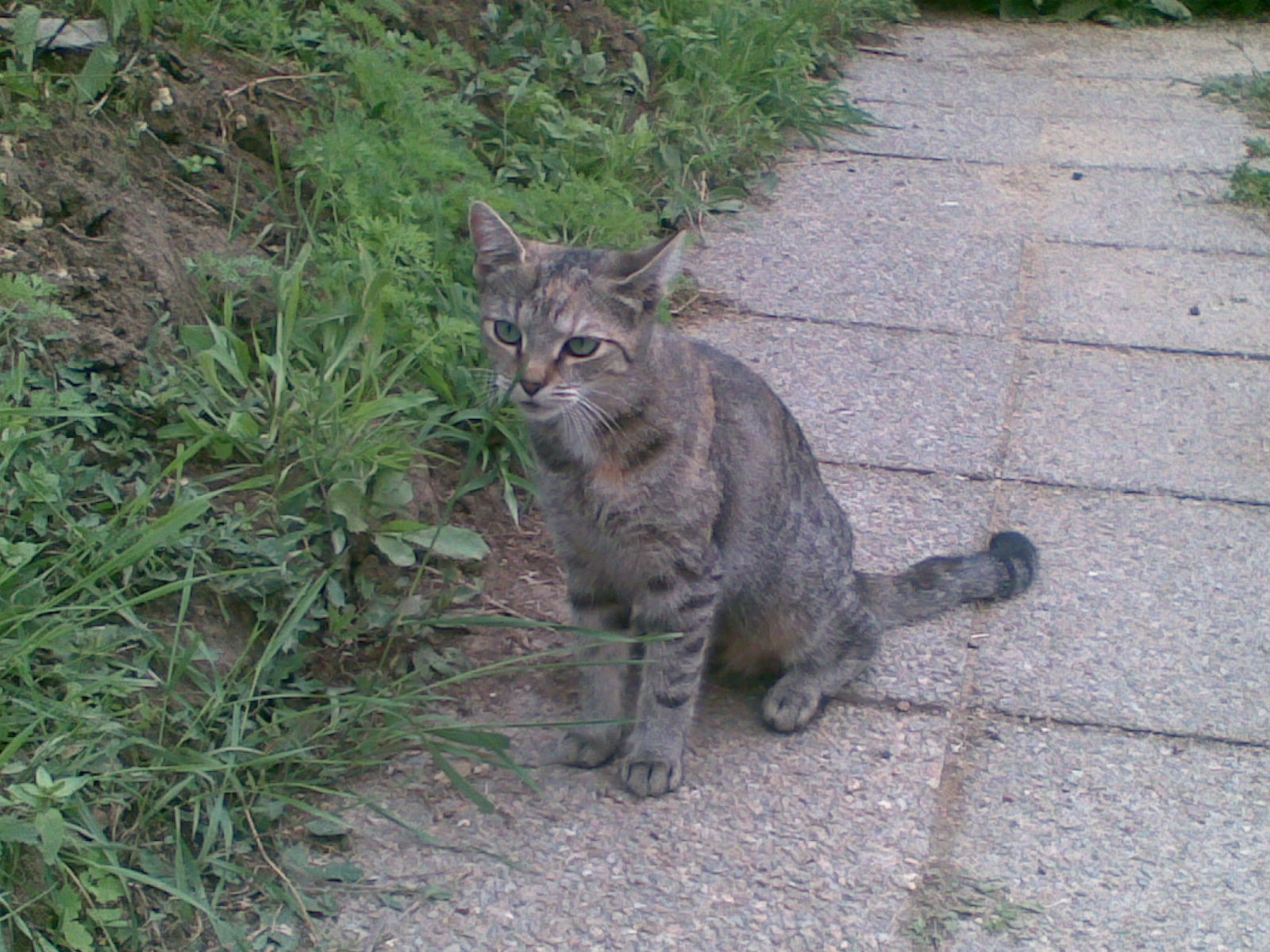 11072009(002).jpg