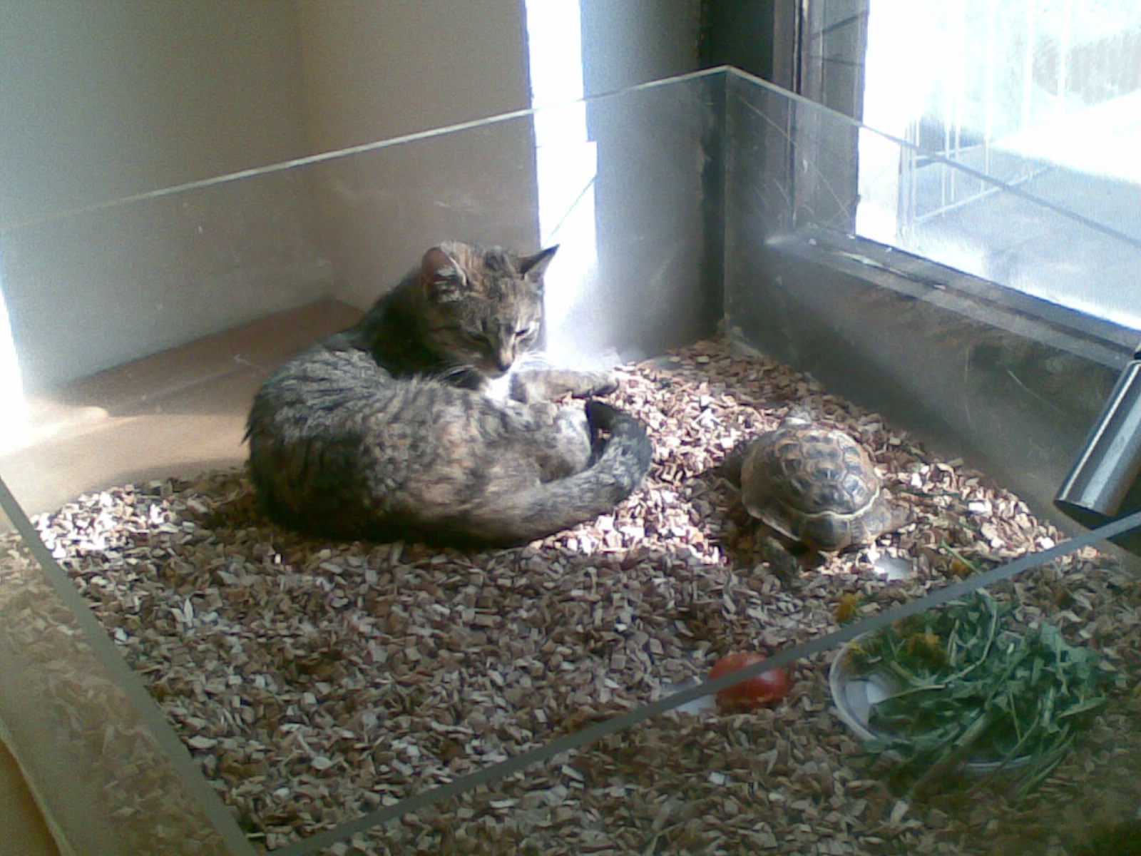 13042009.jpg