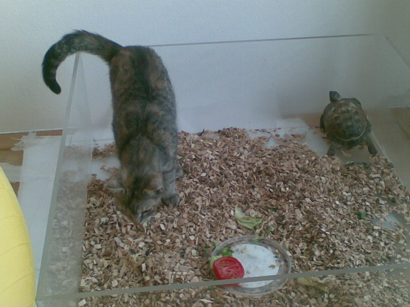 22052009(003).jpg