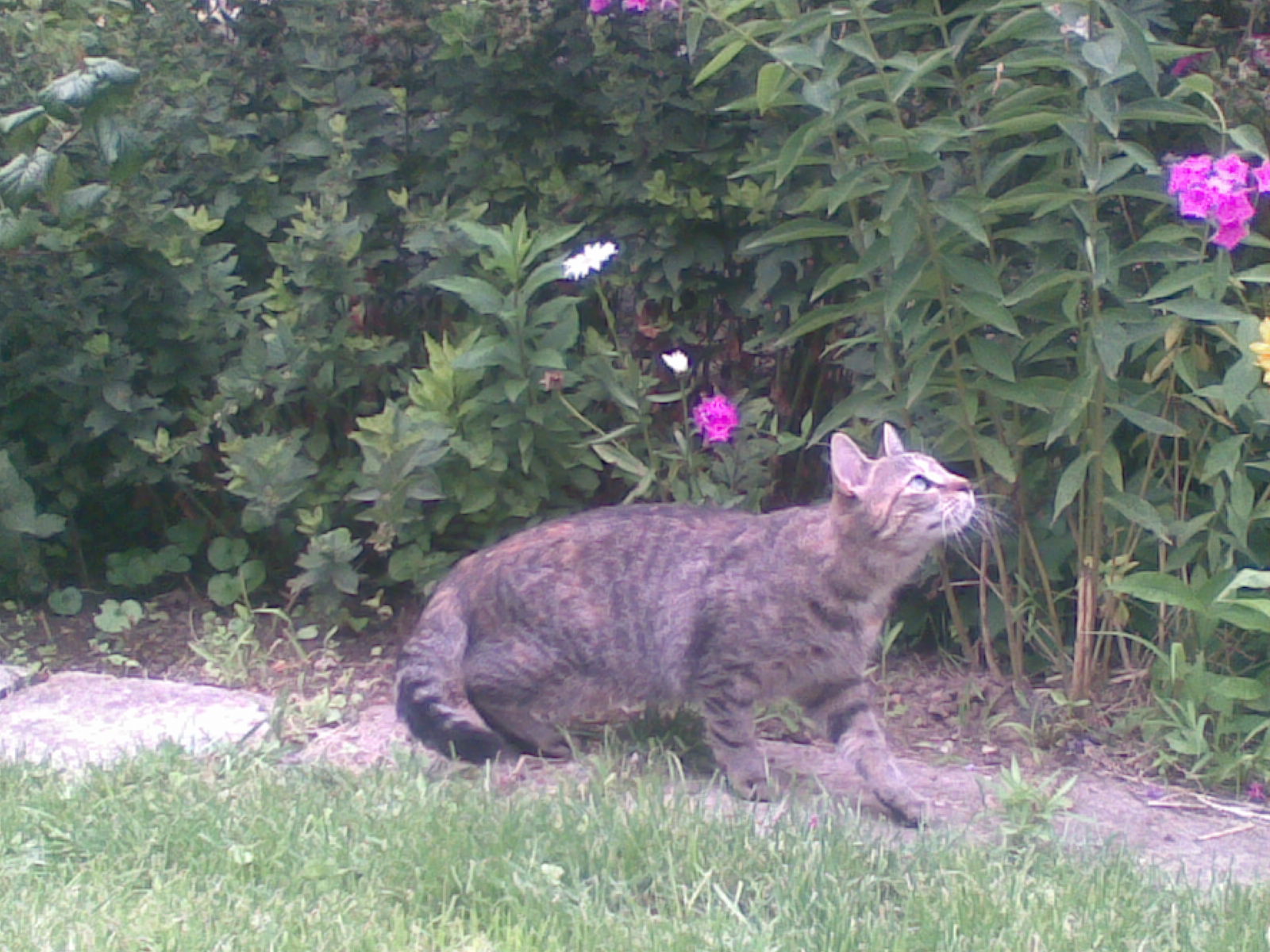 24072009(001).jpg