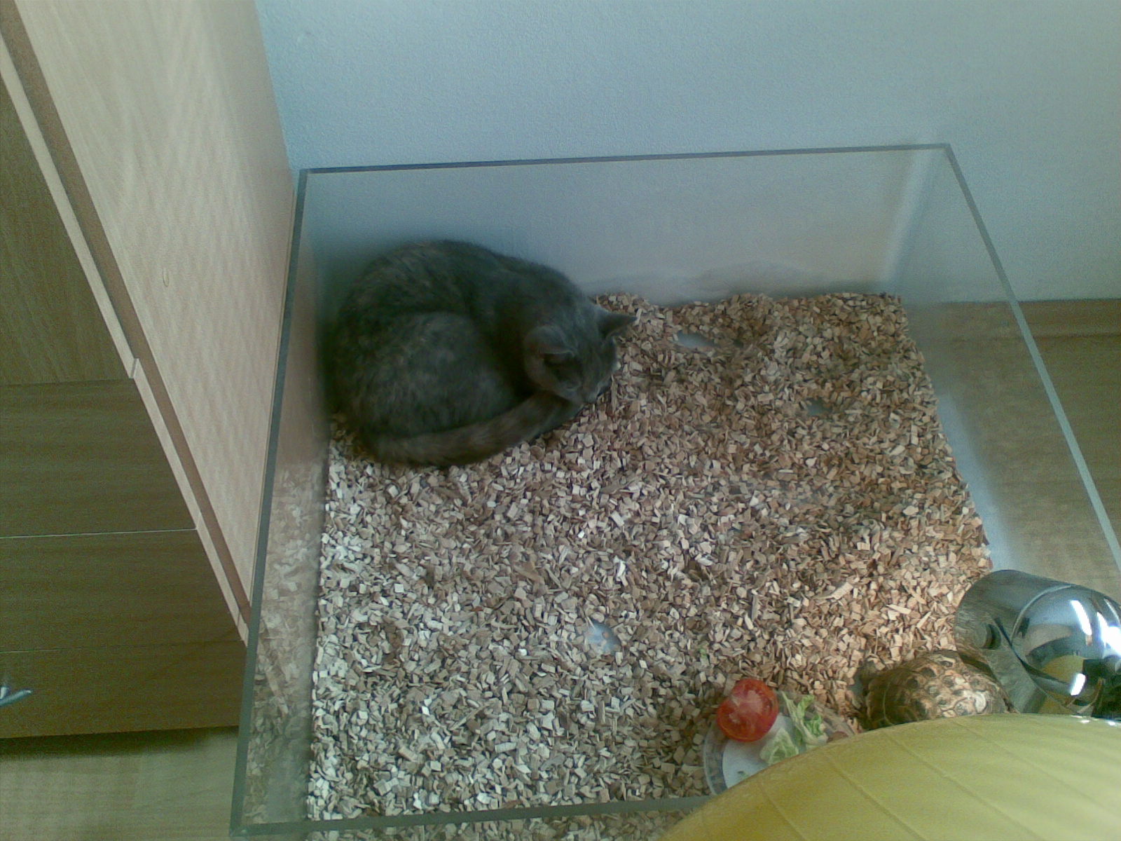 28032009.jpg