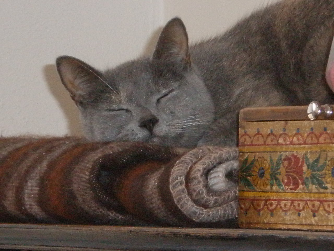 čiki září 2008 026.jpg