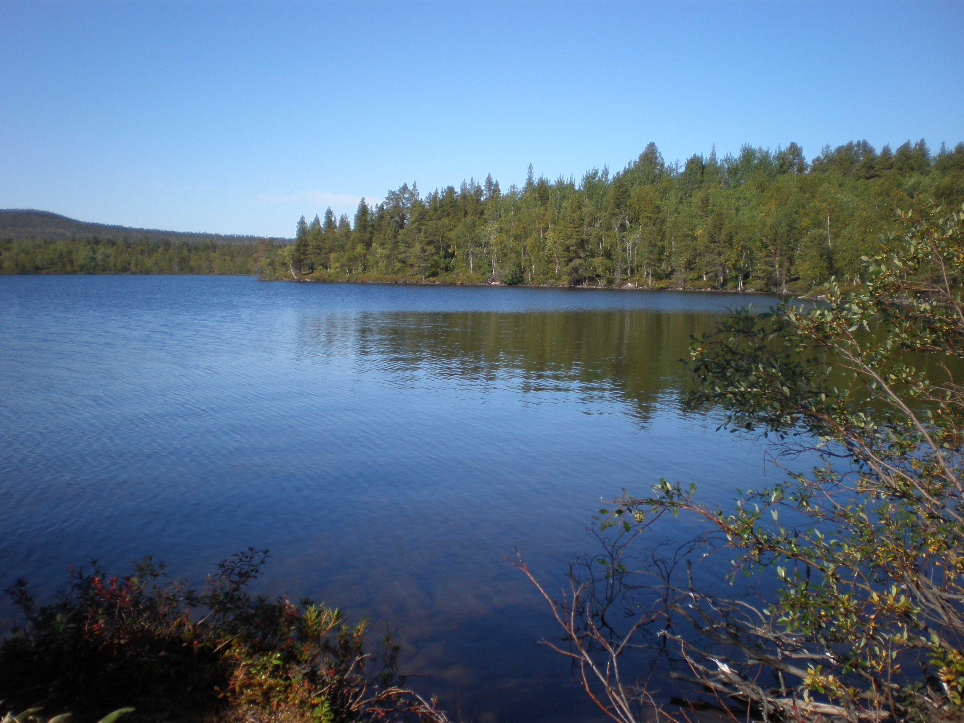 P8200295