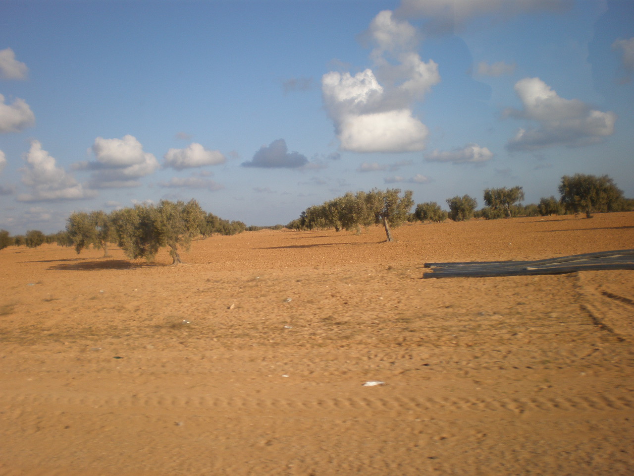 2009 073.jpg