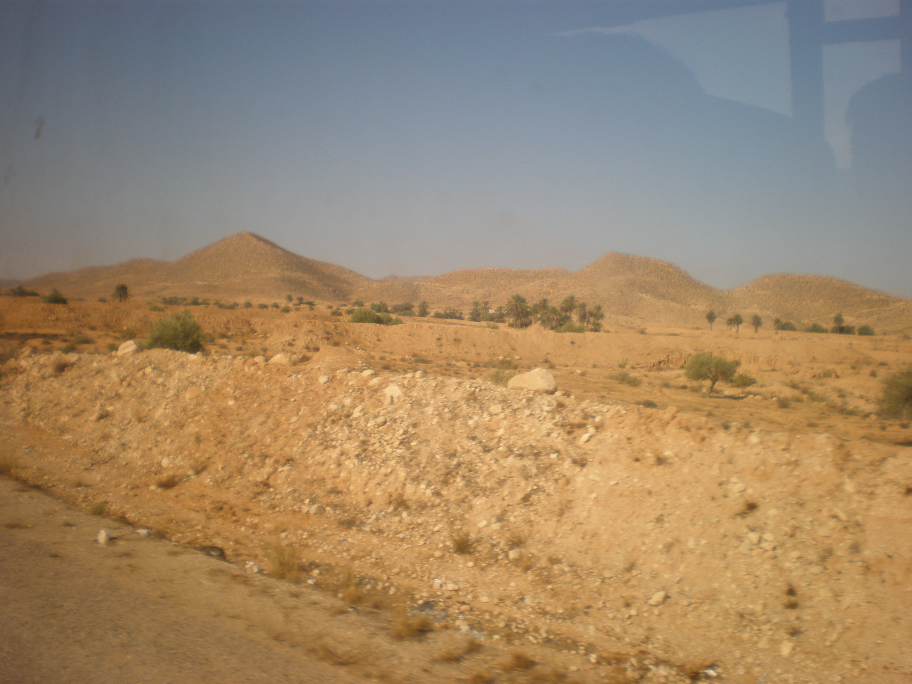 2009 077.jpg
