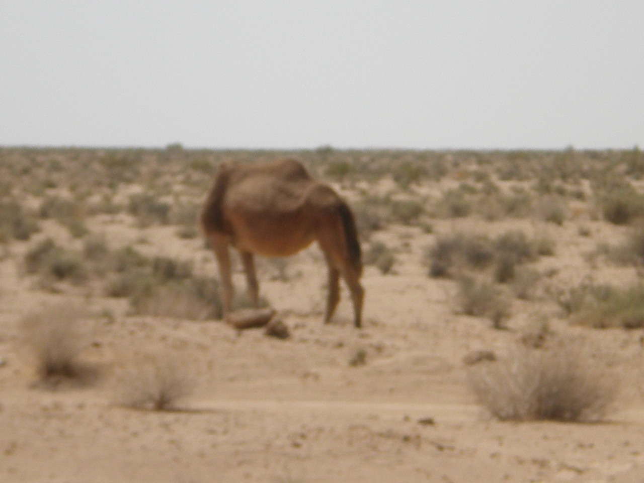 2009 143.jpg