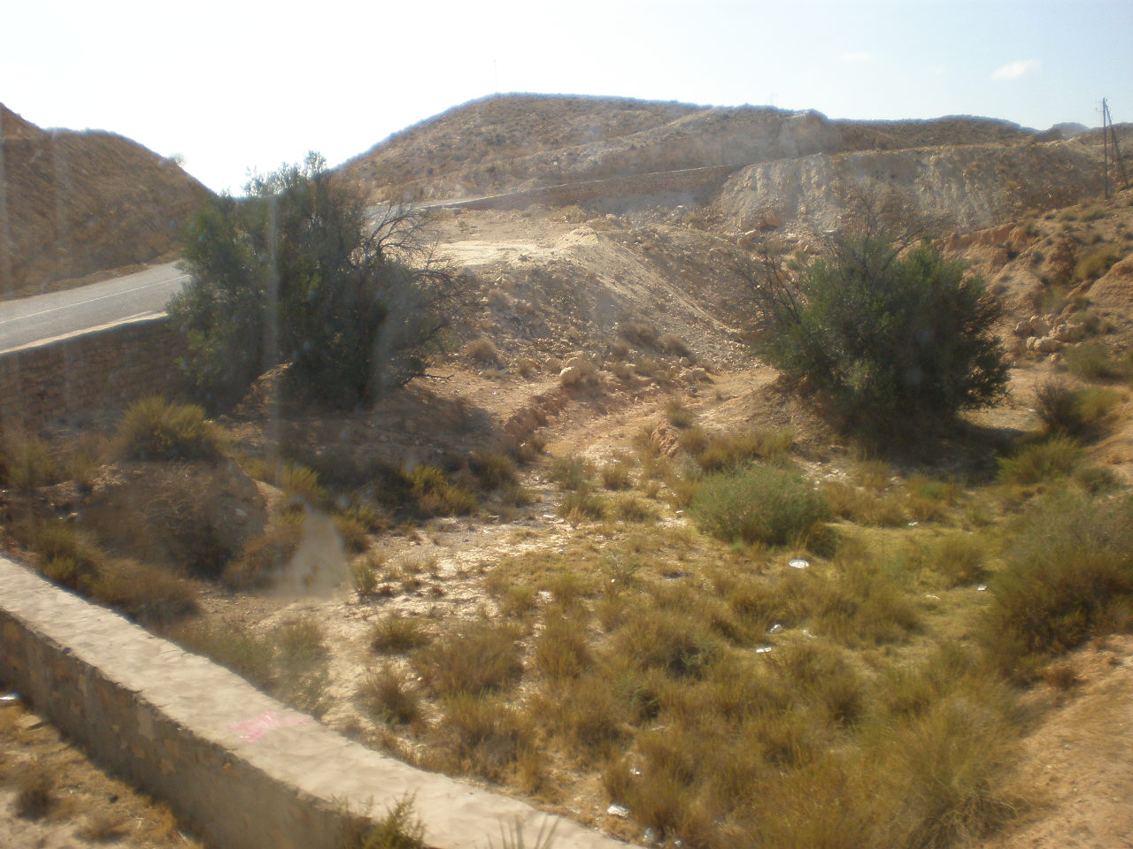 2009 117.jpg