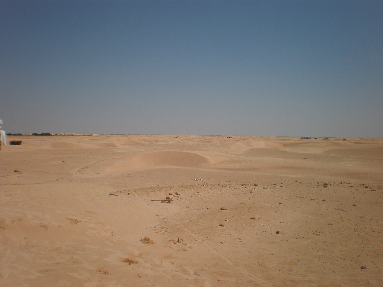 2009 184.jpg