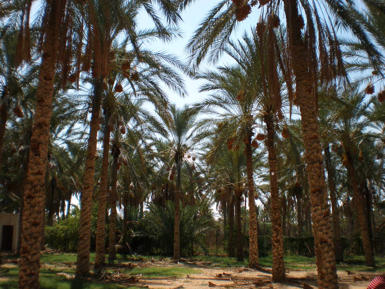 2009 206.jpg