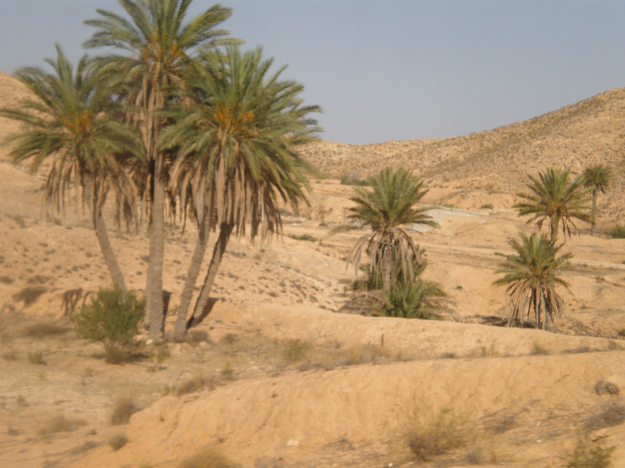 2009 250.jpg