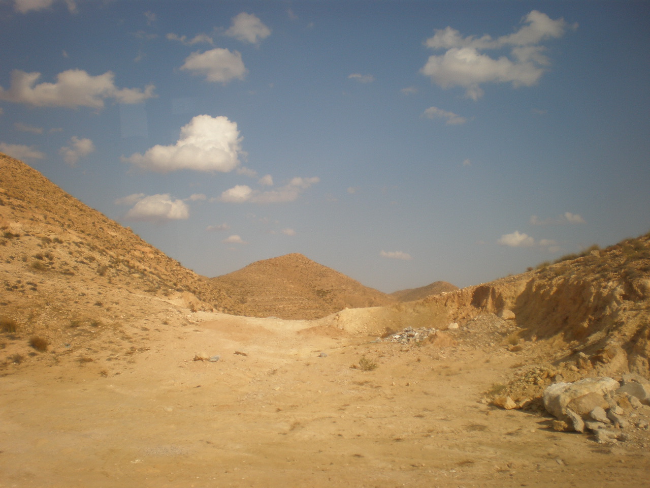 2009 236.jpg